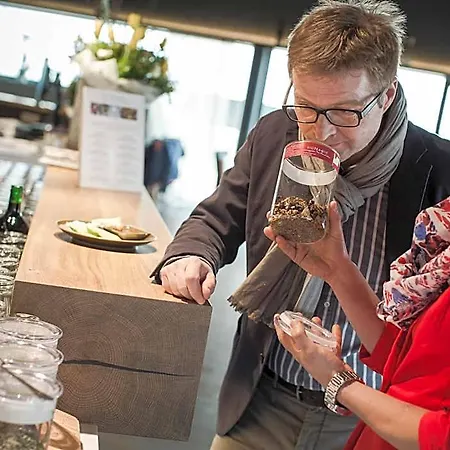 Weinlodge Siedler Frühstückspension 3*