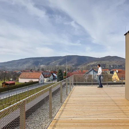 לינה וארוחת בוקר Weinlodge Siedler 3*