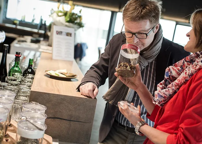 Alojamento de Acomodação e Pequeno-almoço Weinlodge Siedler 3*