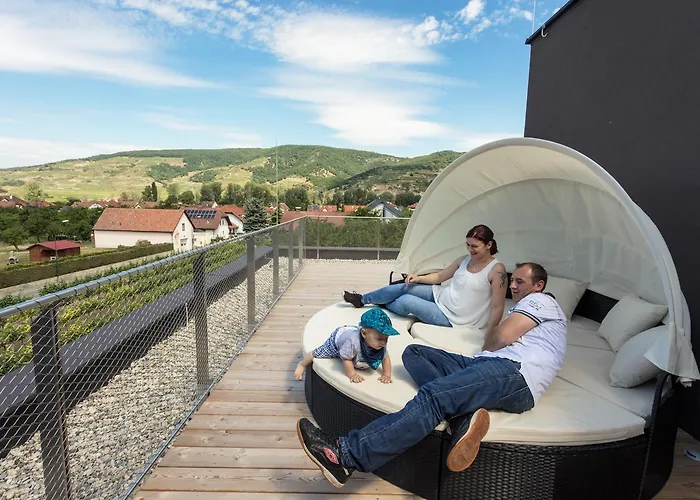 Weinlodge Siedler 3* Mautern